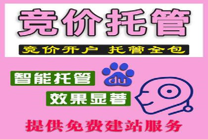 百度信息流广告案例分析：精准投放策略全解析